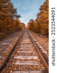 Train Tracks New England Autumn Fall Foliage Yellow Leaves Old Railroad Tracks. Antique Rusted Rails in Maine USA