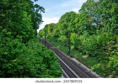 Train tracks surrounded by trees