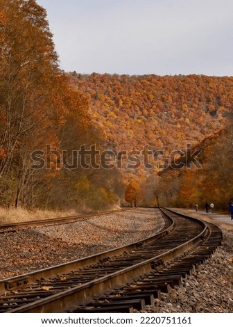 Train tracks through the fall foliage Lehigh Gorge State Park.