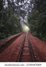 The train Tracks through the forest