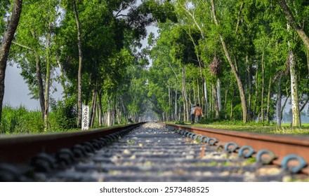 a train tracks with trees in the background