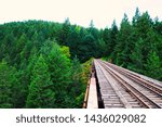 Train Trussell one the forest