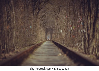 Train tunnel through the forest - Shutterstock ID 1361011325