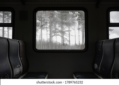 Train Window, Trees Outside, Dark Colors