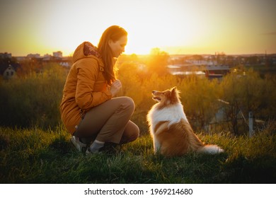 Train Your Pet At Sunset. The Friendship Between Owner And Dog