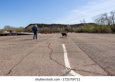 A trained German shepherd performs an exercise.