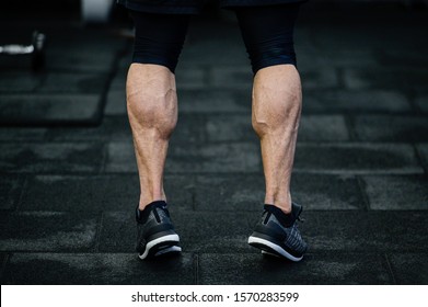 trained legs with muscular calves in sneakers in training gym - Shutterstock ID 1570283599