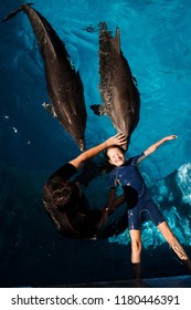 trainer and girl swimming with bottlenose dolphins in blue water. Dolphin Assisted Therapy