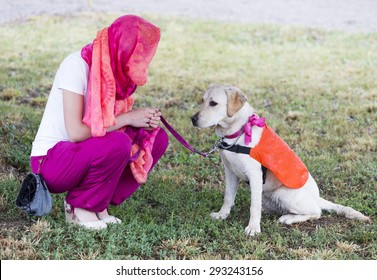 A Trainer Is Standing Beside A Golden Retriever Guide Dog During The Last Training For The Animal. The Dogs Are Undergoing Various Trainings Before Finally Given To A Blind Person. 