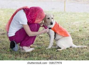 A Trainer Is Standing Beside A Golden Retriever Guide Dog During The Last Training For The Animal. The Dogs Are Undergoing Various Trainings Before Finally Given To A Blind Person. 