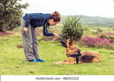 trainer tell dog to sit, german shepherd security dog - Powered by Shutterstock