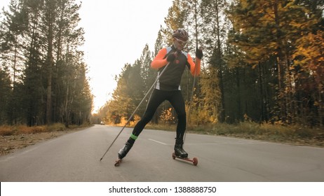 Training an athlete on the roller skaters. Biathlon ride on the roller skis with ski poles, in the helmet. Autumn workout. Roller sport. Adult man riding on skates.
