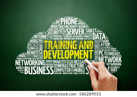 Training and Development word cloud collage, technology business concept on blackboard