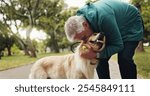 Training, dog and kiss with old man in park for walking, adventure and playing fetch. Animal care, support and morning with person and Labrador pet in nature for bonding, guide and wellness together