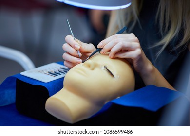 training dummies for permanent make-up and eyelash extension, study and skill