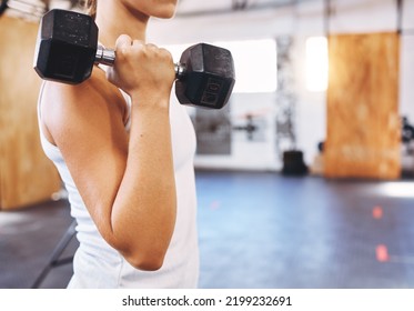 Training, Health And Weightlifting By Woman Exercise With A Dumbbell At Gym Or Fitness Center. Young Athlete Join On Gym Membership, Begin Physical Health Journey, Muscle, Physical And Body Goals