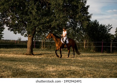 Training In Nature. Young Rider Dressed In White Sports Uniform On Brown Horse. Time To Enjoy Life. Sports And Health.Beautiful Lifestyle. Role Model. 