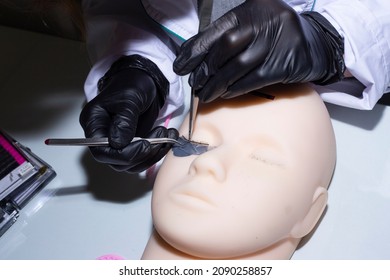 Training For Permanent Eyelash Extension On Silicone Mannequin Head In Cosmetology 