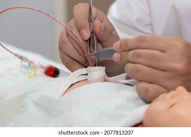 Training Practice Of Umbilical Catheterization Newborn Infant In Labour Room Or Nursery Care Unit In Hospital