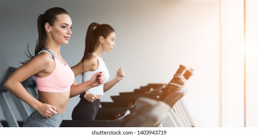 Training Together. Women Doing Cardio Workout, Running On Treadmill In Gym, Copy Space