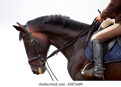 1,480 Riding breeches Images, Stock Photos & Vectors | Shutterstock
