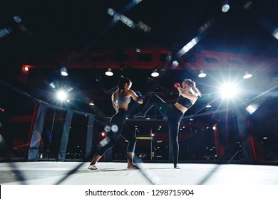 Training Young Women In Ring Mma Octagon Cage, Kick And Apercod Hand.