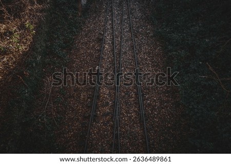 Traintrack in Fall Forest - Old Tracks in german forest