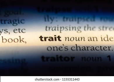 trait word in a dictionary. trait concept. - Shutterstock ID 1155311443