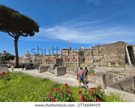 Trajan's Column, completed in 113 CE in Rome, is a 38- meter (126-foot) tall triumphal monument honoring Emperor Trajan's victory in the Dacian Wars. Located in Trajan's Forum, it features a 190-meter spiral marble frieze detailing 155 scenes of the campaign, featuring over 2,500 figures. The column, often attributed to Apollodorus of Damascus, also served as Trajan's tomb.