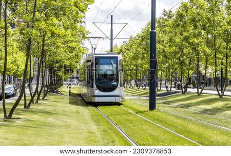 Tram in the city center, green trees background, public transportation, sunny day in town
