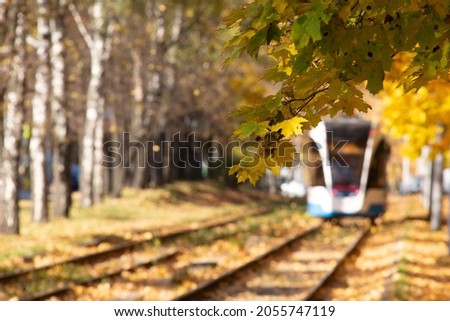 Tram rails in the corridor among the yellow autumn trees. Autumn forest, among which the tram goes. Railroad through the park. Moscow, Russia