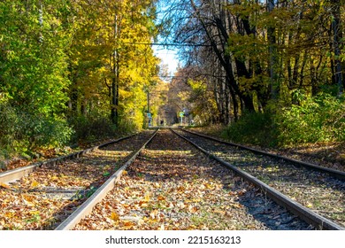 Tram Rails Going To The Central Point Of Perspective In The Autumn Forest