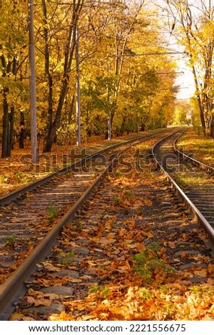 Tram tracks in the autumn forest. Electric urban transport in Moscow, Russia,vertical.