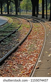 Tram Tracks In Turin