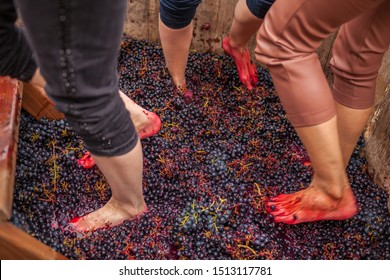 
					trampling of grapes according to the ancient traditional method in a wooden barrel