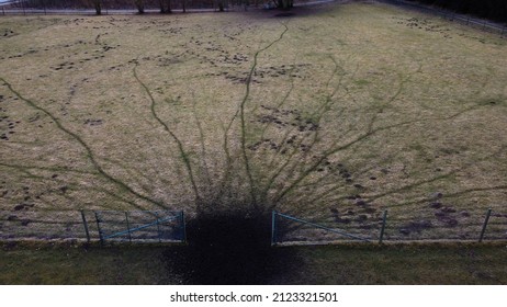 trampling path of deer in an enclosure