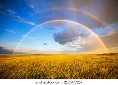 Tranquil agricultural landscape with a magical rainbow at sunset. Agrarian land of Ukraine, Europe. Force of nature. Vibrant summertime photo wallpaper. Image of an exotic phenomenon. Beauty of earth. - Shutterstock ID 2175477259