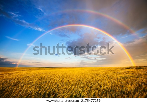 Tranquil agricultural landscape with a magical rainbow at sunset. Agrarian land of Ukraine, Europe. Force of nature. Vibrant summertime photo wallpaper. Image of an exotic phenomenon. Beauty of earth.