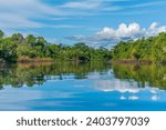 The tranquil Amazon River in Iquitos