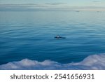 Tranquil Arctic Waterscape with Ice and Reflection