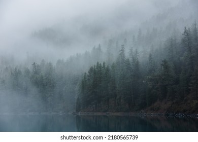 Tranquil atmospheric scenery with turquoise mountain lake and coniferous trees silhouettes in dense fog. Pure alpine lake in mystery thick fog. Calm glacial lake and forest edge in misty early morning - Shutterstock ID 2180565739