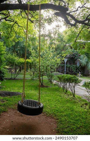Tranquil backyard setting with tyre swing hanging from tree branch. Swinging homemade tire on a tree in the summer forest. No one on the tire swing. Swing in a park lawn. Childhood memories backdrop.