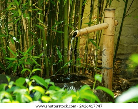Tranquil Bamboo Water Fountain in Japanese Garden