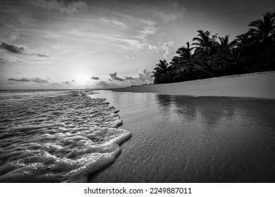 Tranquil beach landscape in black and white. Dramatic monochrome paradise island inspire meditation travel background. Palm trees white sand dark sky artistic waves relax coast. Summer minimal travel - Powered by Shutterstock