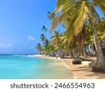 Tranquil  beach on remote island in Carribean sea. Palm trees,  clear sea with coral reef, white sand, sea life and relaxing lifestyle. Starfish beach, Isla Colon, Bocas del Toro, Panama.