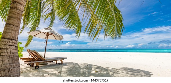 Tranquil Beach Scene. Exotic Panorama In Tropical Island Resort, Palm Trees, White Sand, Blue Sky And Sea. Honeymoon Destination, Summer Vacation Or Holiday Conceptual Scenery. Panoramic Landscape