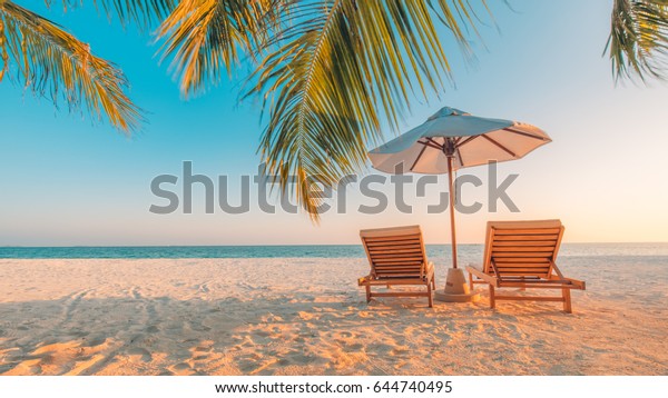 宁静的海滩景色 异国情调的热带海滩景观背景或壁纸 暑假假期概念的设计 库存照片 立即编辑