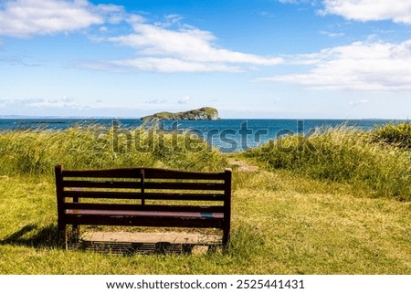 a tranquil beach scene featuring an empty bench situated on a sandy shore. The bench, made of wood and painted in a light brown color, overlooking Craigleith Island, Firth of Forth, Scotland, UK  
