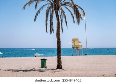 Tranquil beach scene featuring a palm tree, lifeguard tower, trash can, and calm blue sea under a clear sky - Powered by Shutterstock