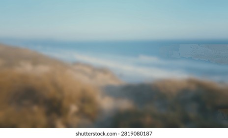 A tranquil beach scene featuring soft ocean waves meeting the shore and dry coastal plants in the foreground under a clear sky.